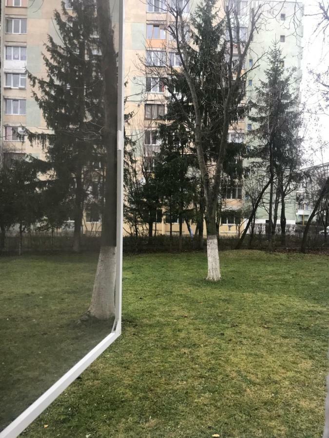 Etoile Studio Brasov Ngoại thất bức ảnh